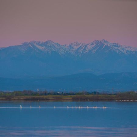 "Chill" Magnifique Vue Sur La Mer Et Le Port Au Coeur De La Ville En Premiere Ligne Canet-en-Roussillon Ngoại thất bức ảnh