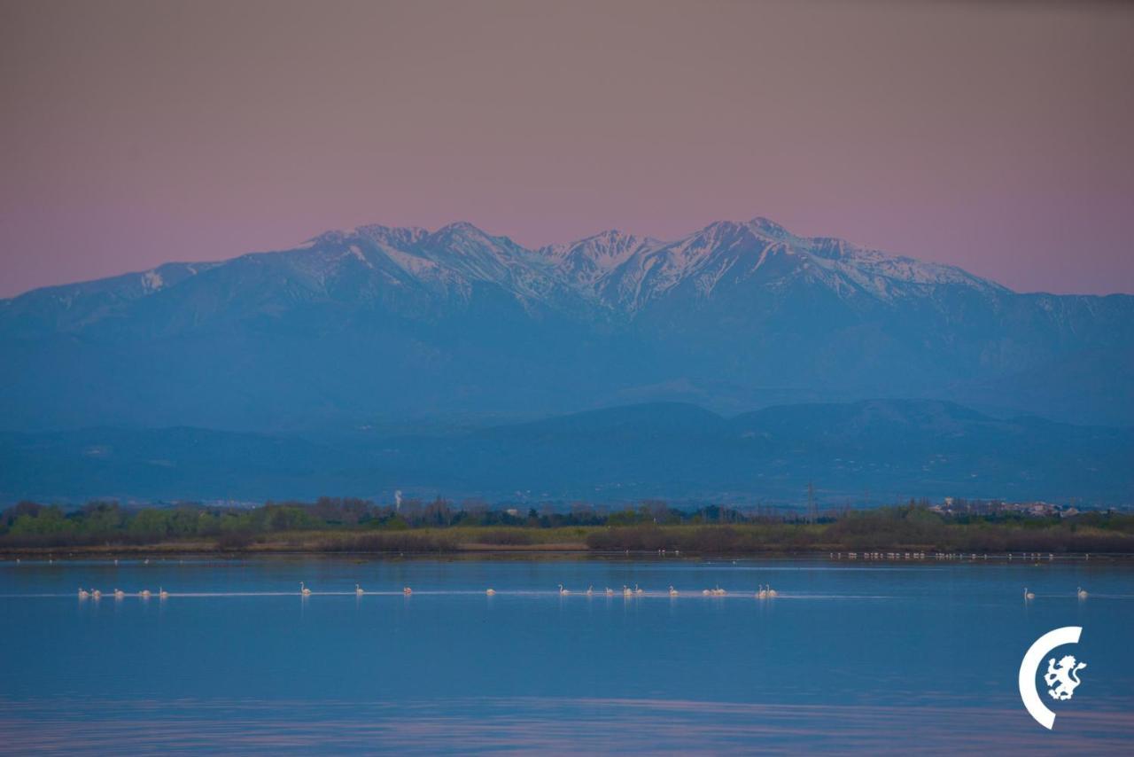 "Chill" Magnifique Vue Sur La Mer Et Le Port Au Coeur De La Ville En Premiere Ligne Canet-en-Roussillon Ngoại thất bức ảnh